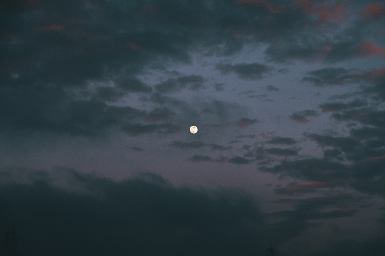 _DSF5465-2